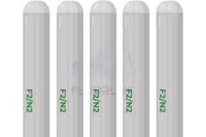 Khí điện tử F2/N2
